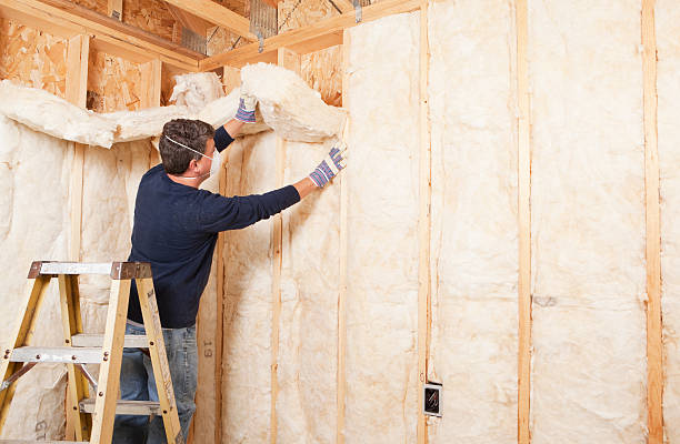 Eco-Friendly Insulation Solutions in Avon By The Sea, NJ